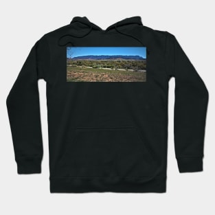 View of the pound Hoodie